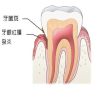 深圳口腔推介？牙齒敏感係咩原因？