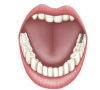 深圳牙科補牙收費，齲齒和牙髓炎有咩區別？