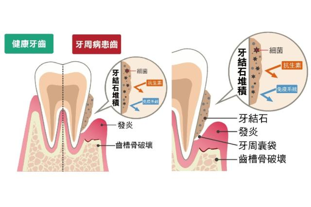 深圳三康口腔