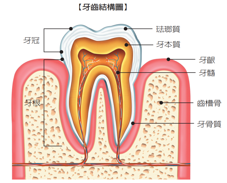 深圳三康牙科