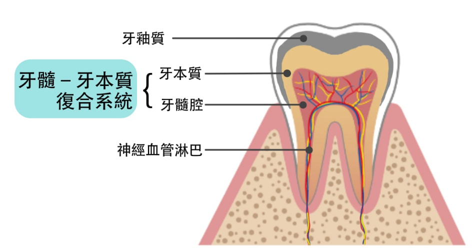 深圳三康牙科牙齦炎