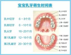 兒童拍攝牙片會有影響嗎？